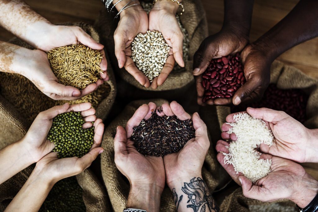 Organic Seed Sourcing and Selection